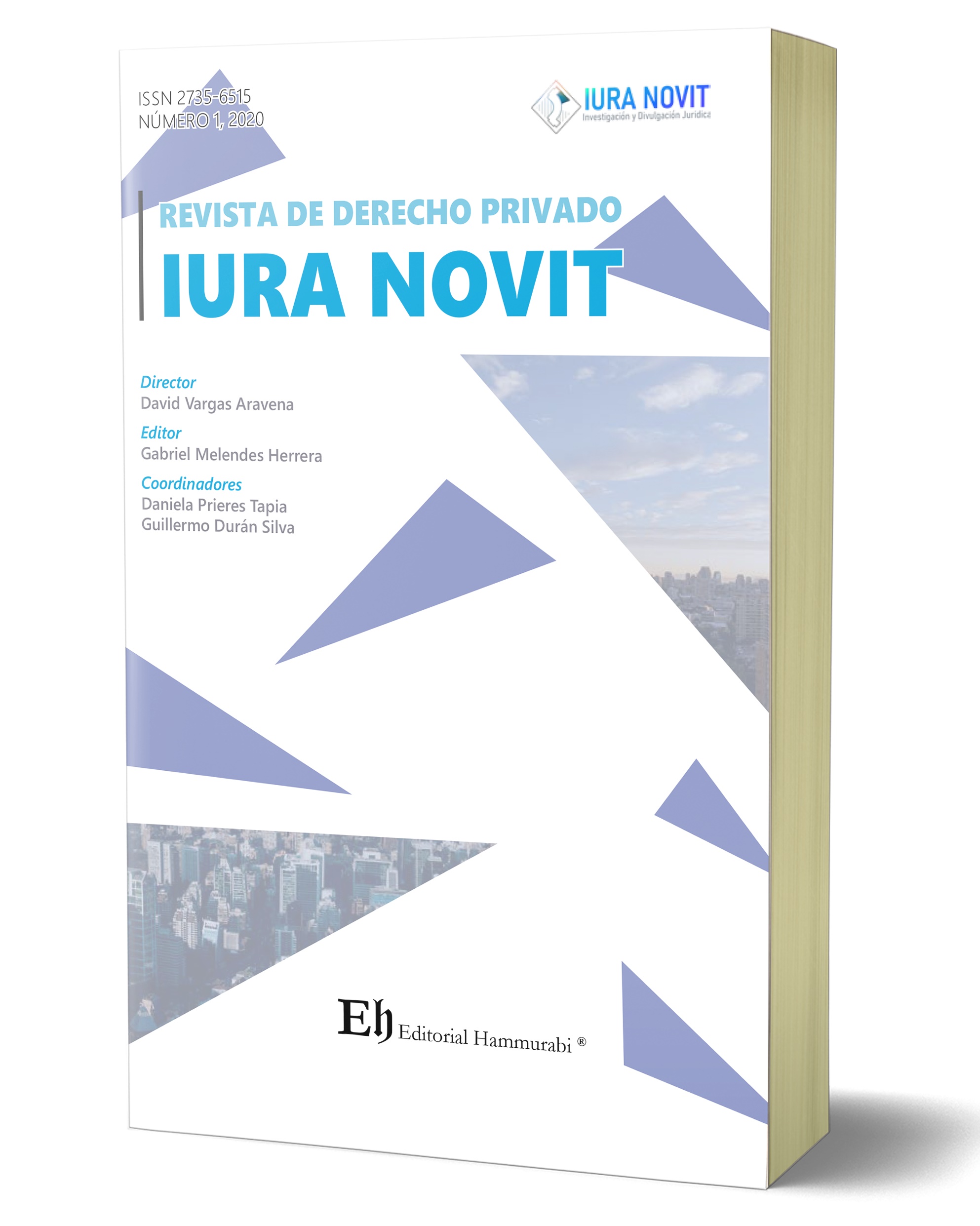 27356515 REVISTA DE DERECHO PRIVADO IURA NOVIT N°1 2020 - Imagen 1