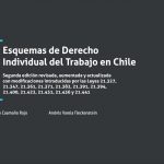 ESQUEMAS DE DERECHO INDIVIDUAL DEL TRABAJO EN CHILE 2° EDICIÓN 2022
