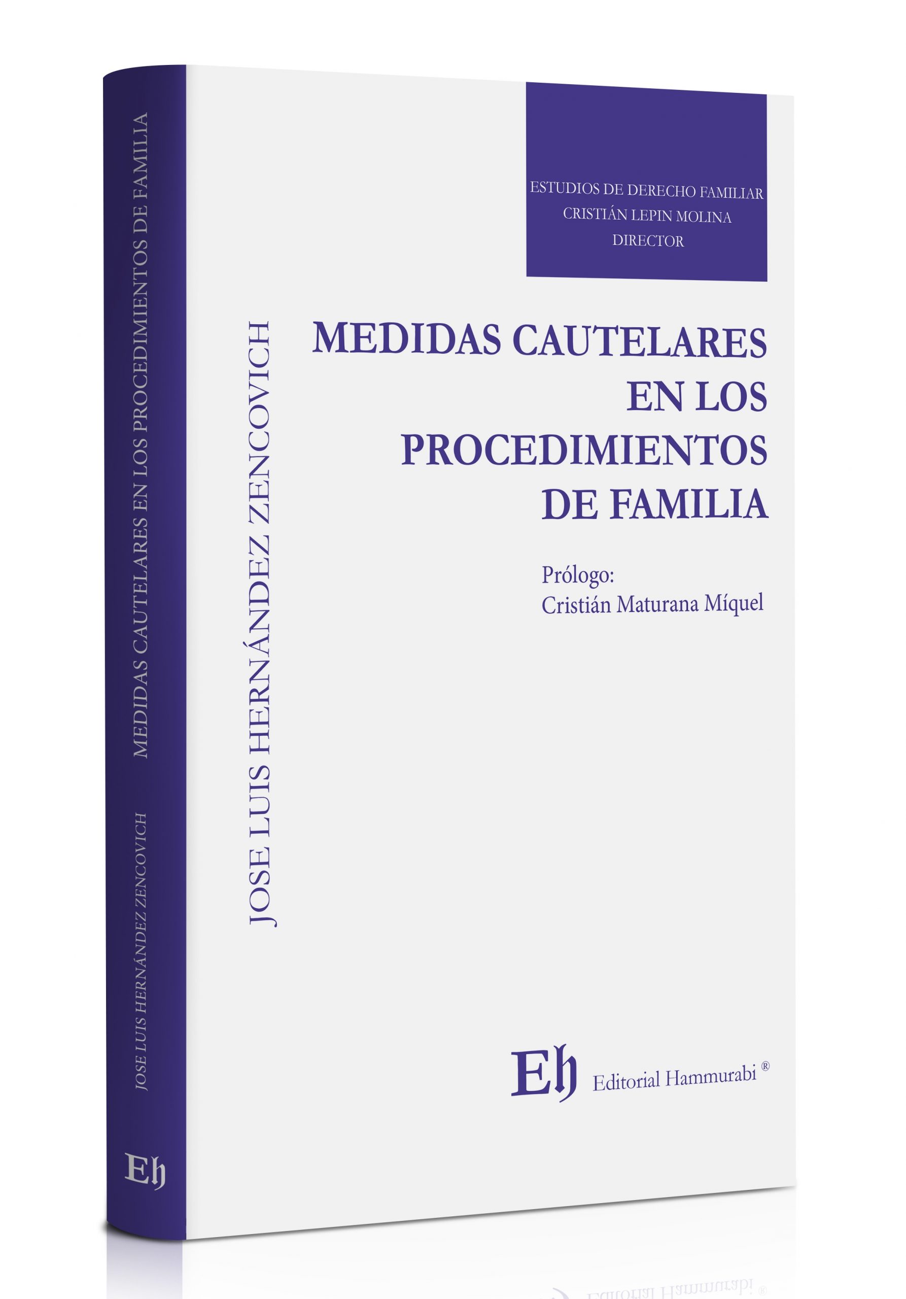 9789569952005 MEDIDAS CAUTELARES EN LOS PROCEDIMIENTOS DE FAMILIA - Imagen 1