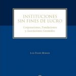 INSTITUCIONES SIN FINES DE LUCRO. Corporaciones, fundaciones y asociaciones gremiales