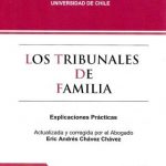 LOS TRIBUNALES DE FAMILIA - EXPLICACIONES Y PRACTICAS