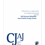 ALIMENTOS Y SU EJECUCIÓN EN MATERIA DE FAMILIA