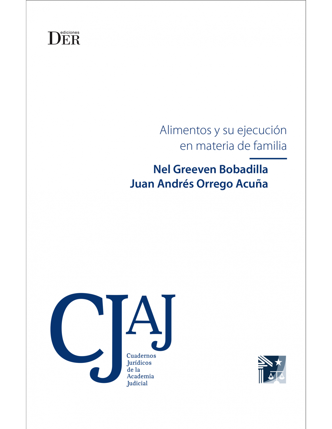 9789569959356 ALIMENTOS Y SU EJECUCIÓN EN MATERIA DE FAMILIA - Imagen 1