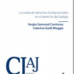LA TUTELA DE DERECHOS FUNDAMENTALES EN EL DERECHO DEL TRABAJO