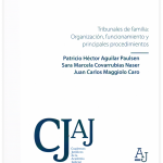 TRIBUNALES DE FAMILIA: ORGANIZACIÓN, FUNCIONAMIENTO Y PRINCIPALES PROCEDIMIENTOS