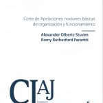CORTE DE APELACIONES: NOCIONES BÁSICAS DE ORGANIZACIÓN Y FUNCIONAMIENTO