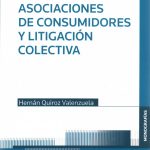 ASOCIACIONES DE CONSUMIDORES Y LITIGACIÓN COLECTIVA