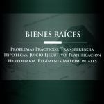 BIENES RAÍCES - PROBLEMAS PRÁCTICOS, TRANSFERENCIA, HIPOTECAS, JUICIO EJECUTIVO, PLANIFICACIÓN HEREDITARIA, REGÍMENES MATRIMONIALES