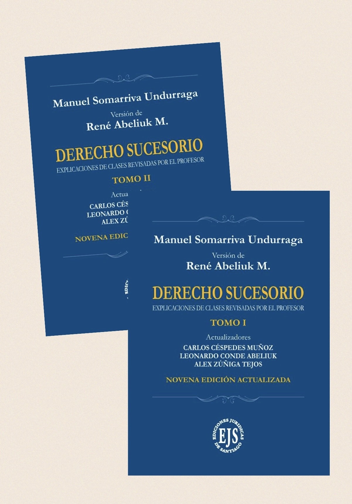 9789566178200 DERECHO SUCESORIO 2 TOMOS - 9° EDICIÓN 2022 - Imagen 1