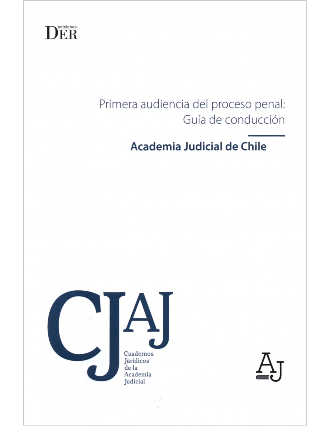 9789564050973 PRIMERA AUDIENCIA DEL PROCESO PENAL: GUÍA DE CONDUCCIÓN - Imagen 1