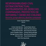 RESPONSABILIDAD CIVIL EXTRACONTRACTUAL: INSTRUMENTOS DE DERECHO COMPARADO, PROYECTOS DE REFORMA Y DERECHO CHILENO