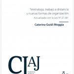 TELETRABAJO, TRABAJO A DISTANCIA Y NUEVAS FORMAS DE ORGANIZACIÓN - ACTUALIZADO CON LA LEY N° 21.561