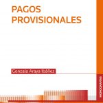 PAGOS PROVISIONALES