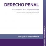DERECHO PENAL - FUNDAMENTOS DE LA RESPONSABILIDAD