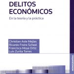 DELITOS ECONÓMICOS - EN LA TEORÍA Y LA PRÁCTICA