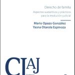 DERECHO DE FAMILIA - Aspectos sustantivos y prácticos para la resolución judicial