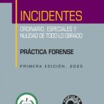 INCIDENTES - Ordinario, Especiales y Nulidad de todo lo obrado