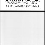 DERECHO PROCESAL (ORGANICO - CIVIL - PENAL) RESUMENES Y ESQUEMAS