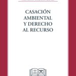 CASACIÓN AMBIENTAL Y DERECHO AL RECURSO