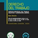 DERECHO DEL TRABAJO - DERECHO INDIVIDUAL, COLECTIVO Y JURISDICCIÓN LABORAL 12° EDICIÓN 2024