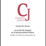 LA ACCIÓN DE AMPARO EN EL PROCESO PENAL CHILENO - Análisis normativo y jurisprudencial