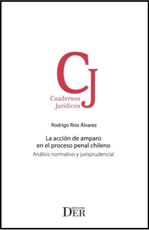 9789564052601 LA ACCIÓN DE AMPARO EN EL PROCESO PENAL CHILENO - Análisis normativo y jurisprudencial - Imagen 1