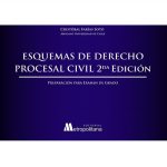 ESQUEMAS DE DERECHO PROCESAL CIVIL - 2DA. EDICIÓN - PREPARACIÓN PARA EXAMEN DE GRADO