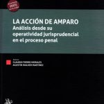 LA ACCIÓN DE AMPARO - Análisis desde su operatividad jurisprudencial en el proceso penal