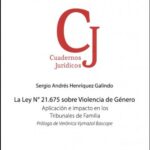 LA LEY N° 21.675 SOBRE VIOLENCIA DE GÉNERO - APLICACIÓN E IMPACTO EN LOS TRIBUNALES DE FAMILIA