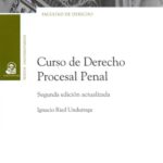 CURSO DE DERECHO PROCESAL PENAL - 2DA. EDICIÓN