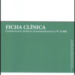 FICHA CLÍNICA - COPARENTALIDAD, IA-SALUD, INTEROPERABILIDAD LEY N°21.668