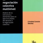 LA NEGOCIACIÓN COLECTIVA MULTINIVEL